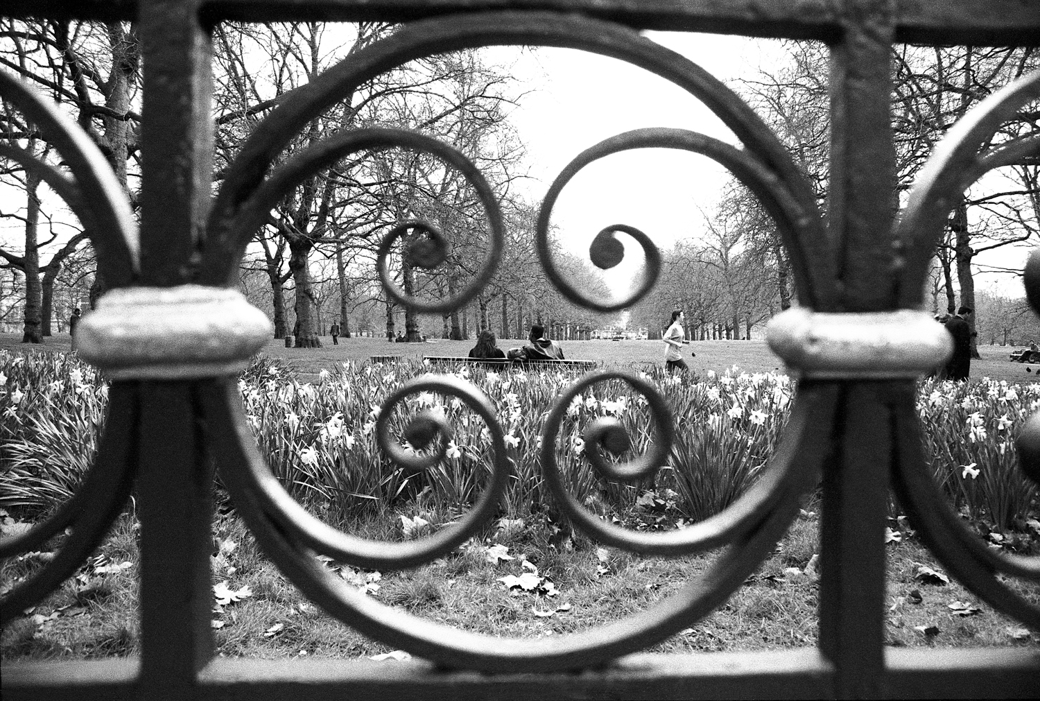 (S)london circle dusted13.5.jpg