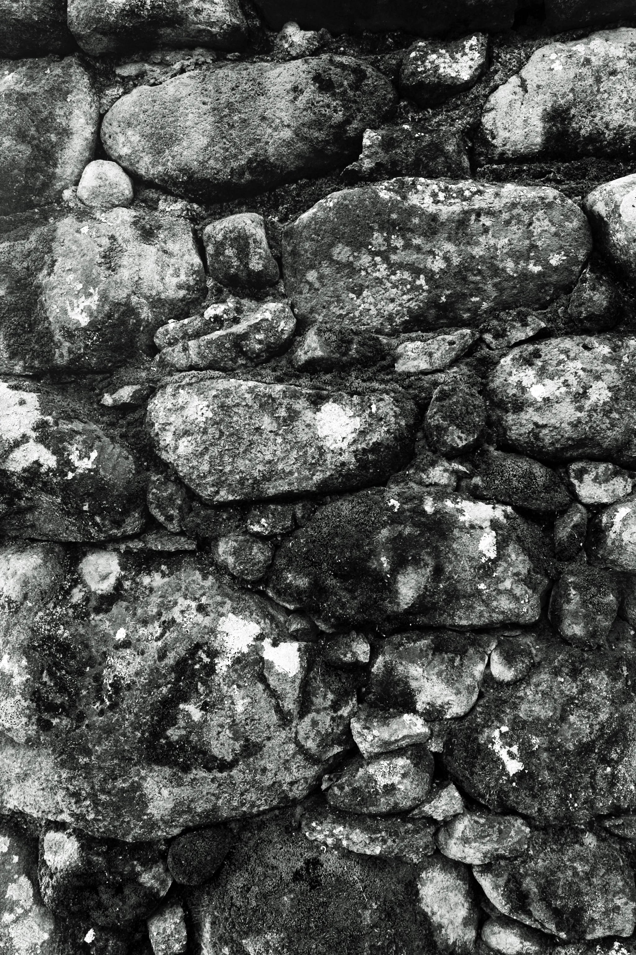 CRW_8418.jpg