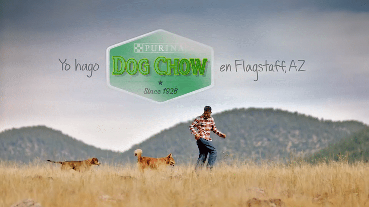 Purina Dog Chow_ Angel-high.gif