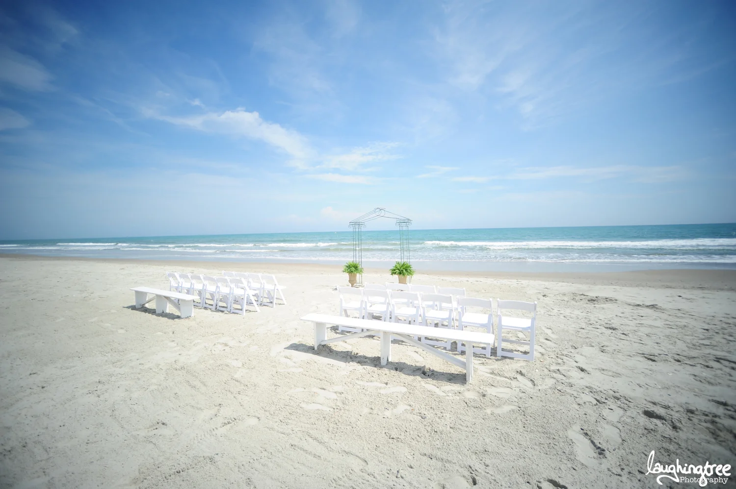 wedding3.jpg