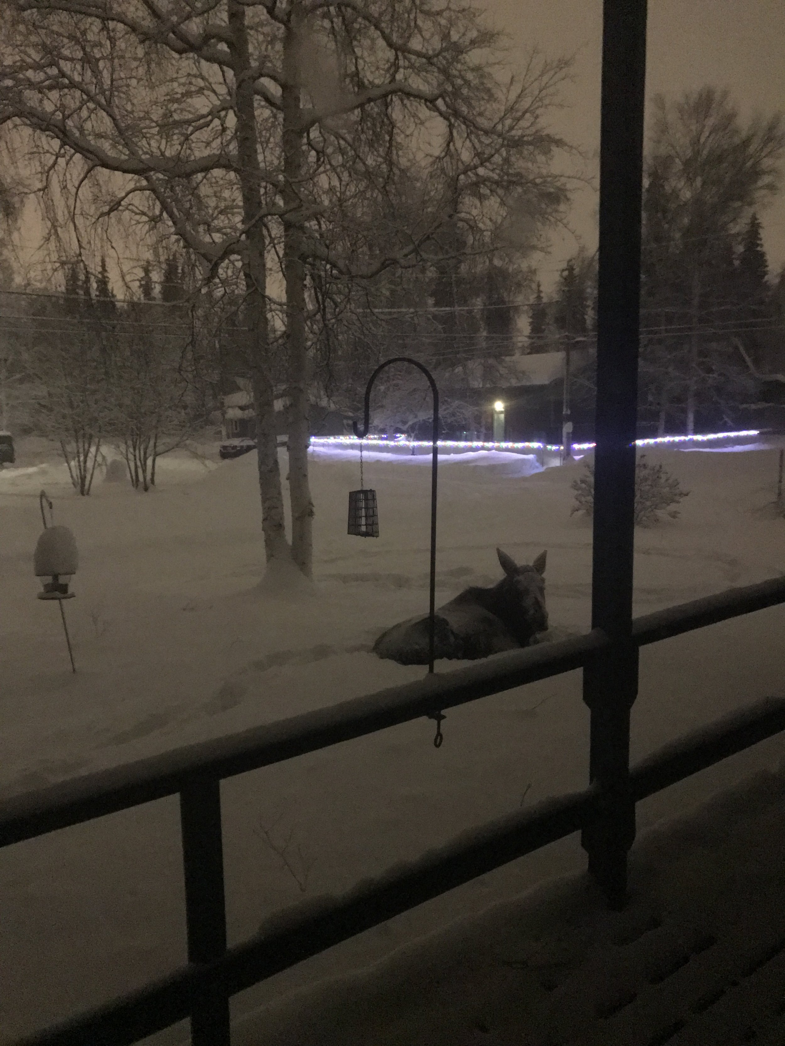  Excuse the grainy photo, taken by an iPhone in the darkness.