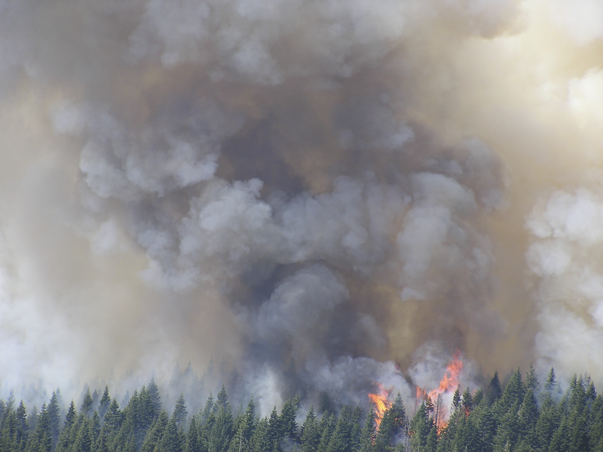 Fire at the ridge, Shasta-Trinity National Forest