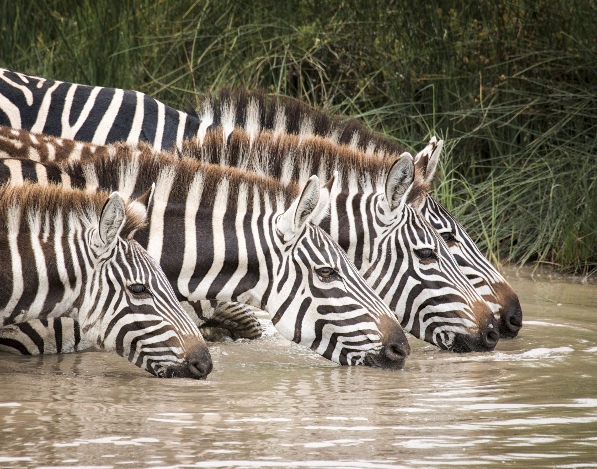 Stripes on the water