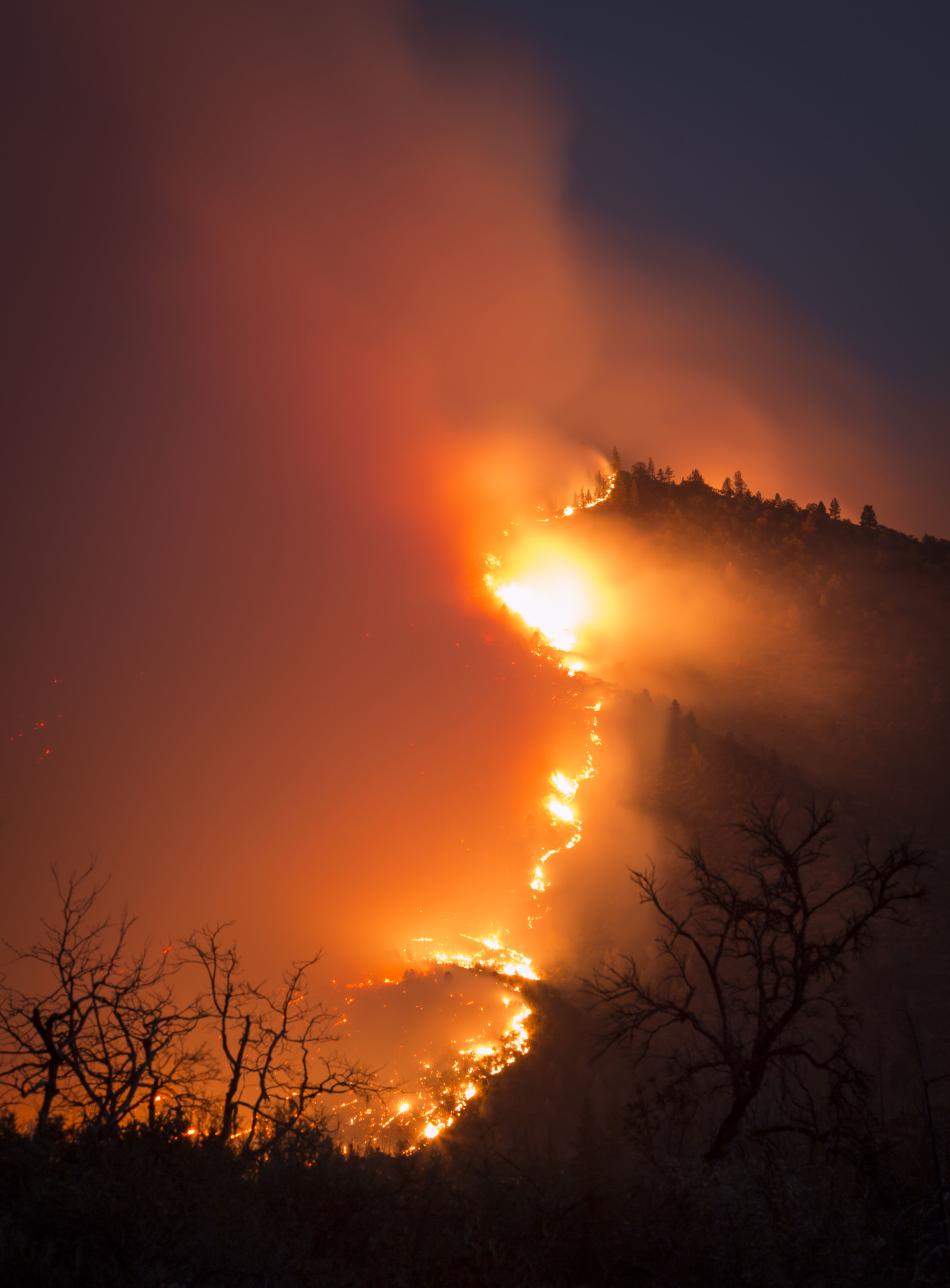 Evening activity, Bald Fire, Lassen National Forest