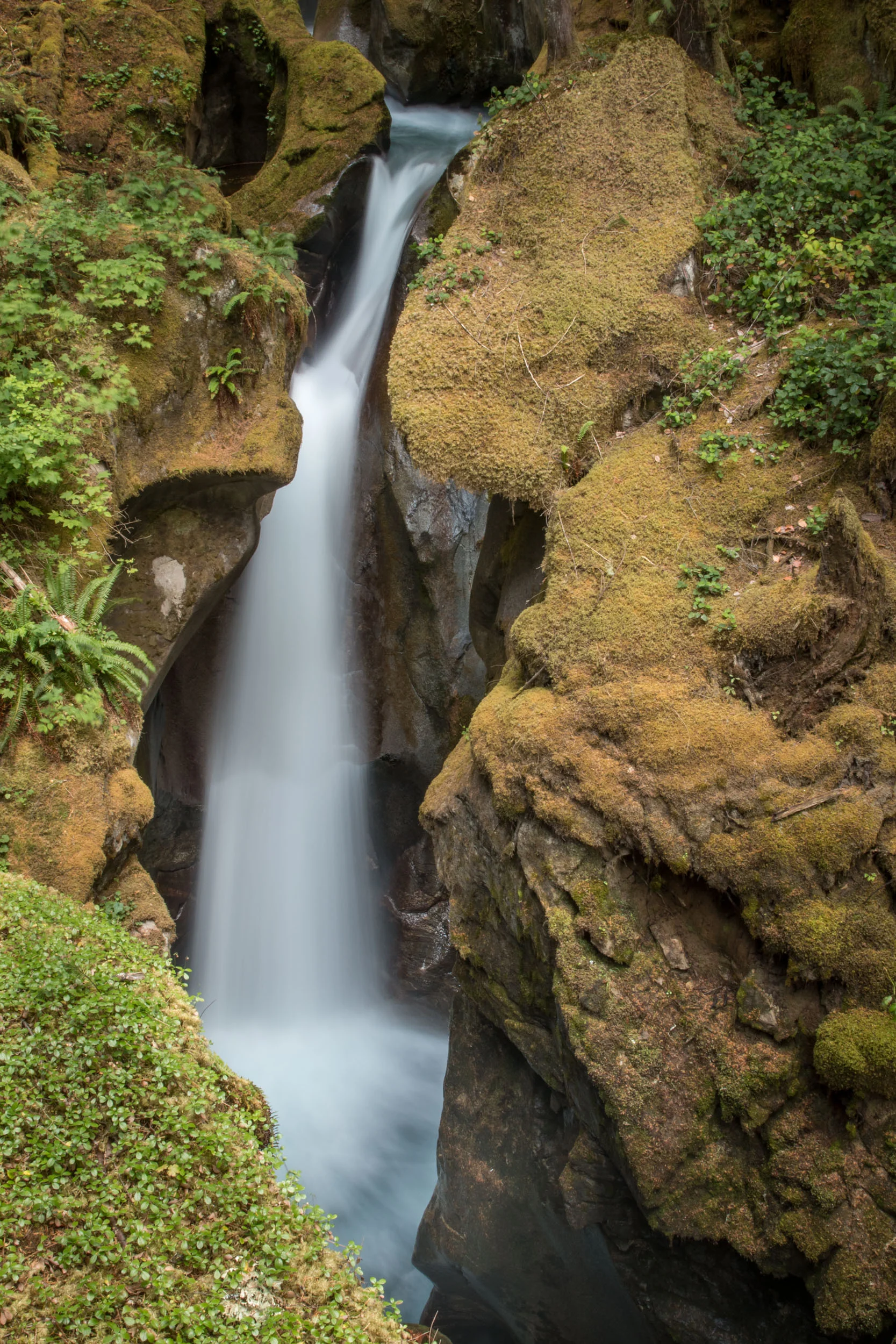 Ladder Creek Falls