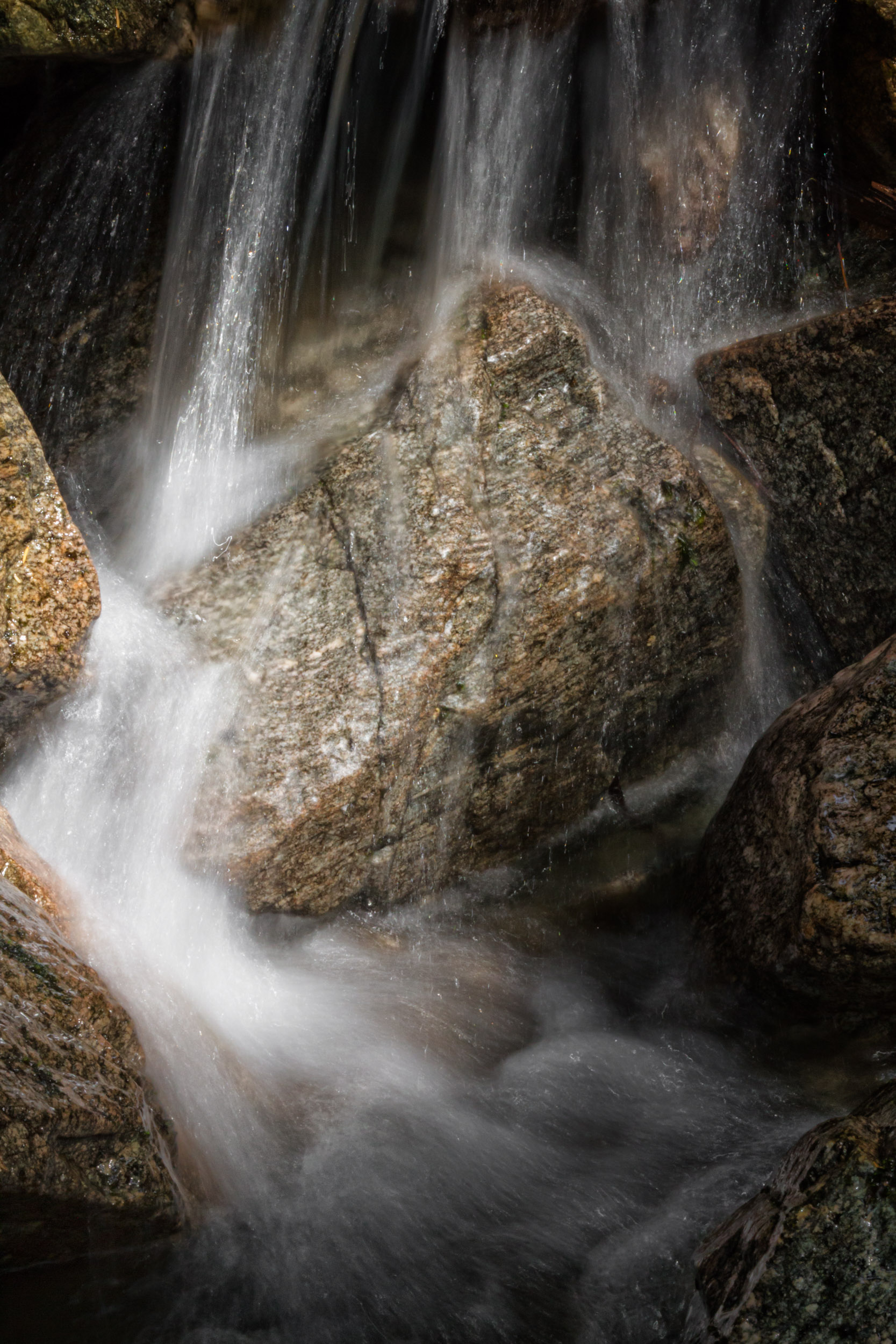 Freshet and Rock