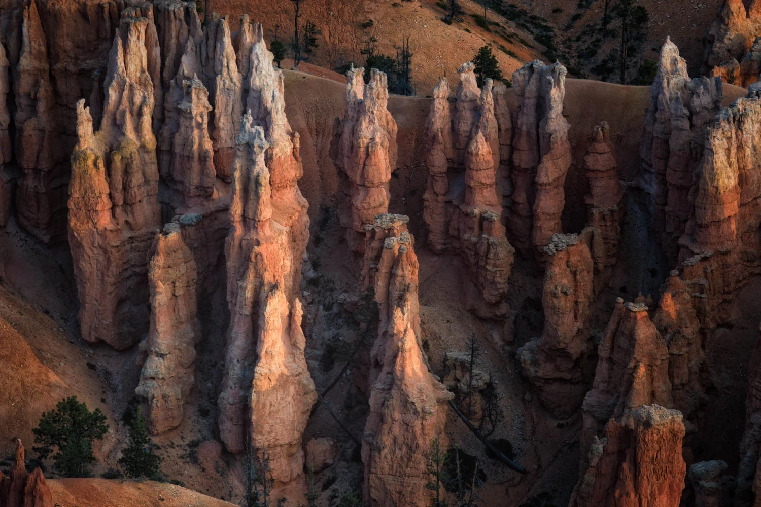 Hoodoo detail #11.jpg