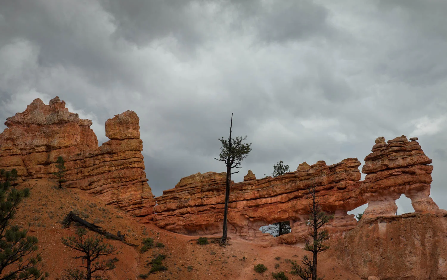 Red rock windows.jpg