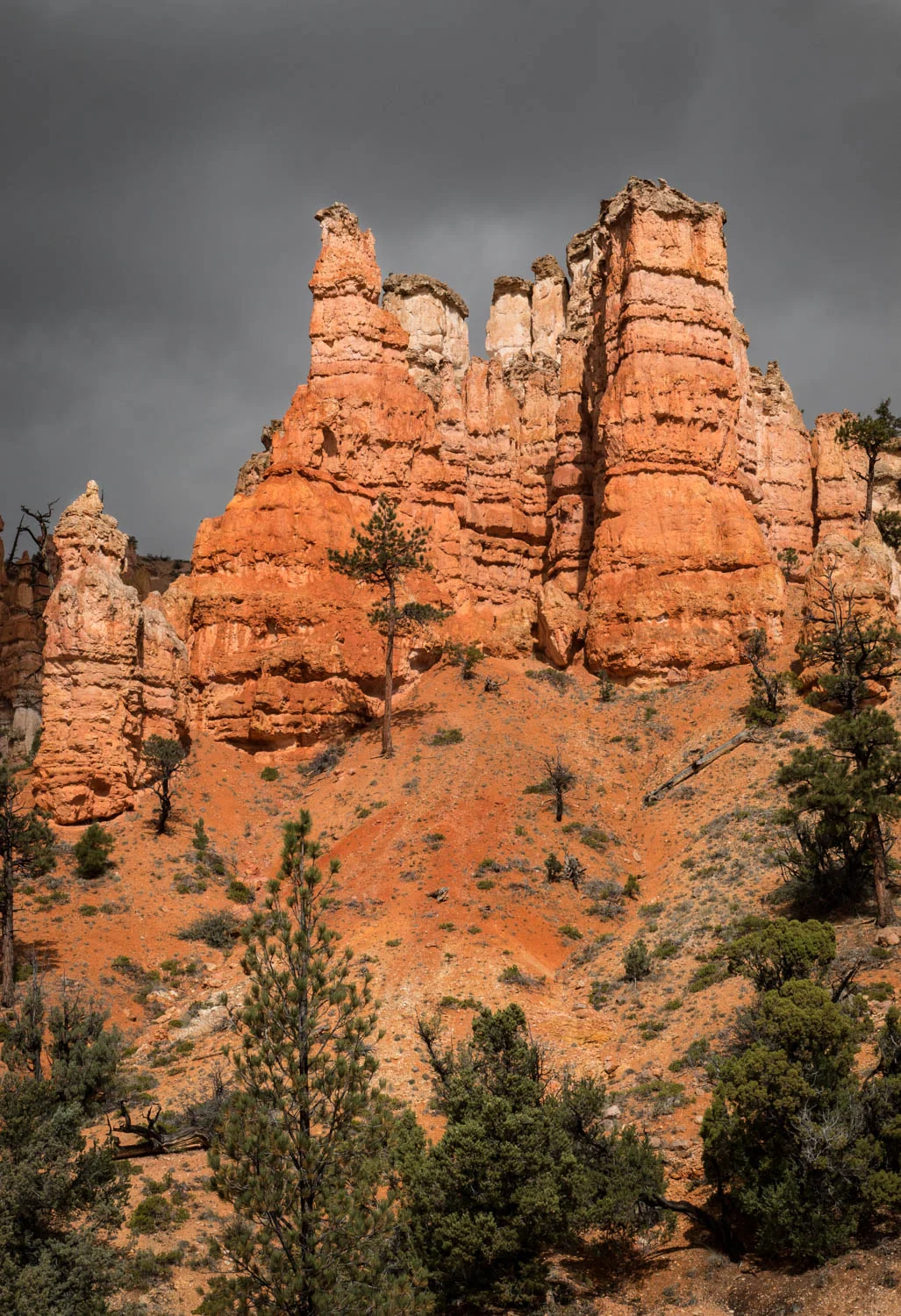 Hoodoos at Kodachrome Basin.jpg