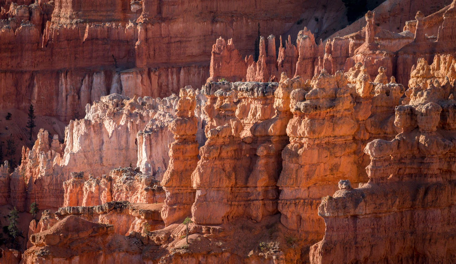 Hoodoo detail #46.jpg