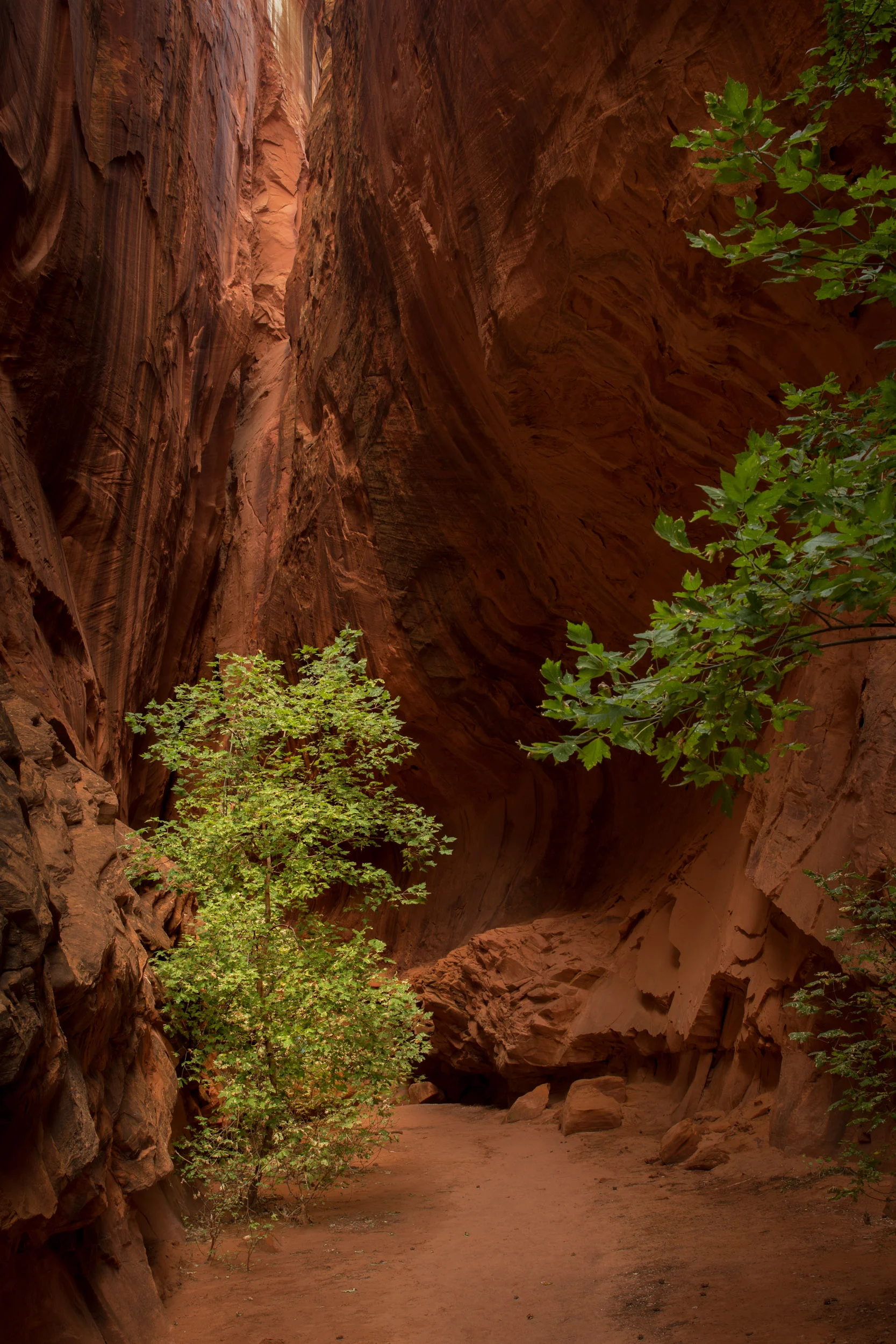 CSlot canyon.jpg