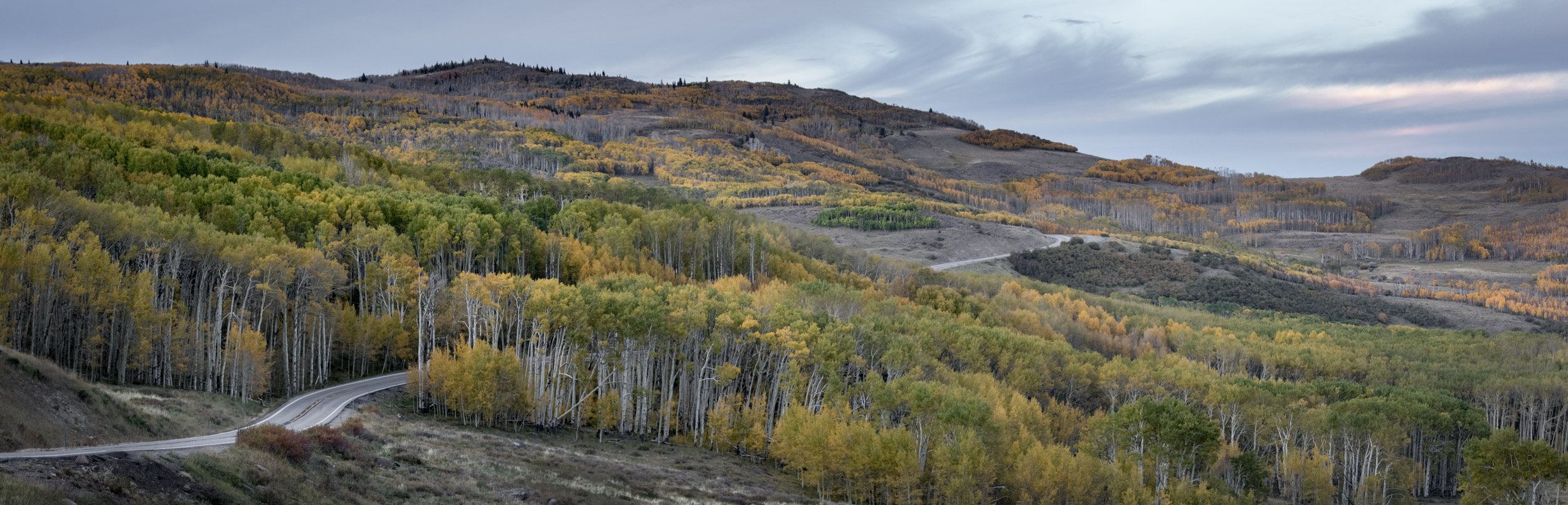 Aspen on Utah 12 (Click on image to enlarge)
