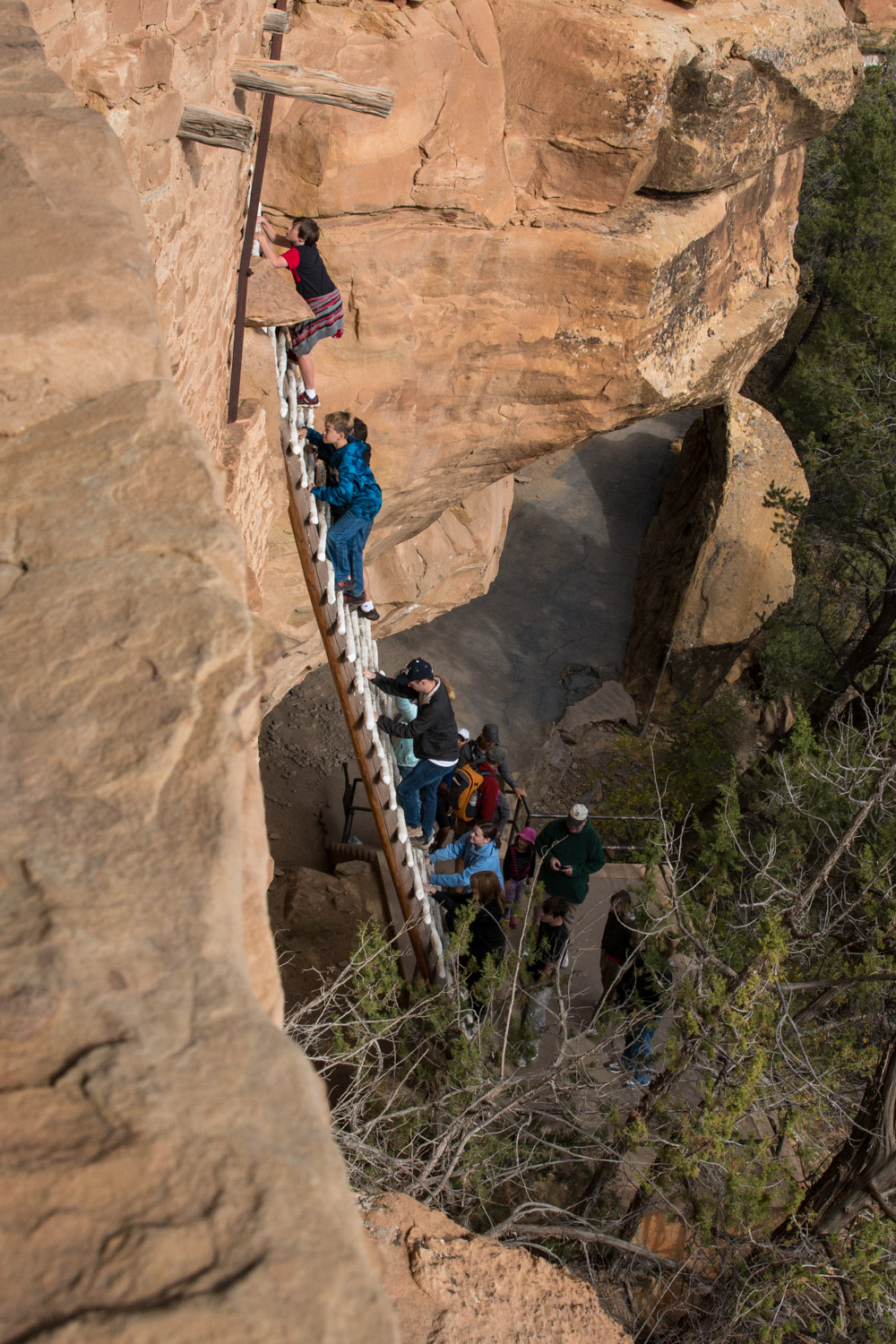 The Ladder to Balconey House.jpg