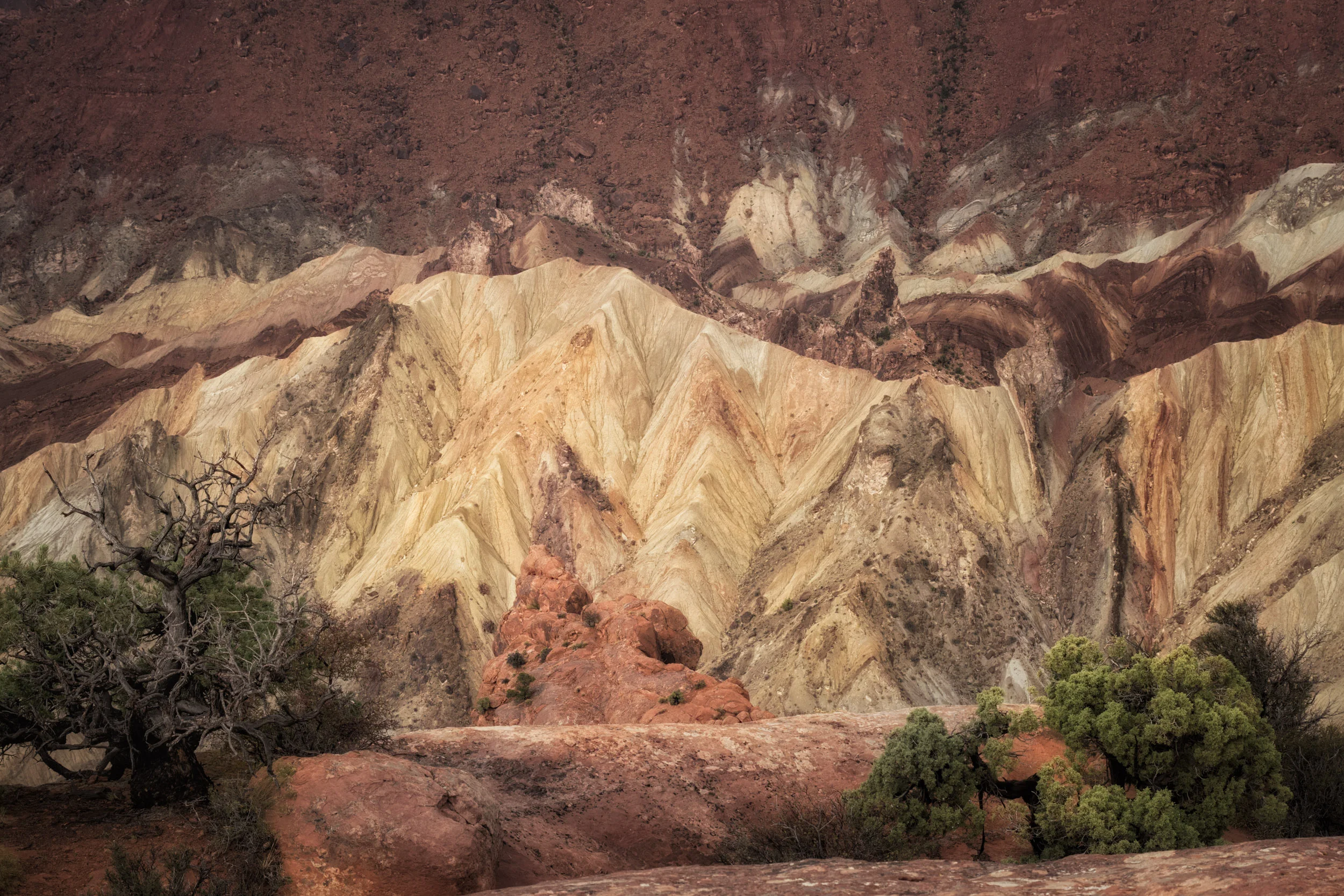 Upheaval Dome detail