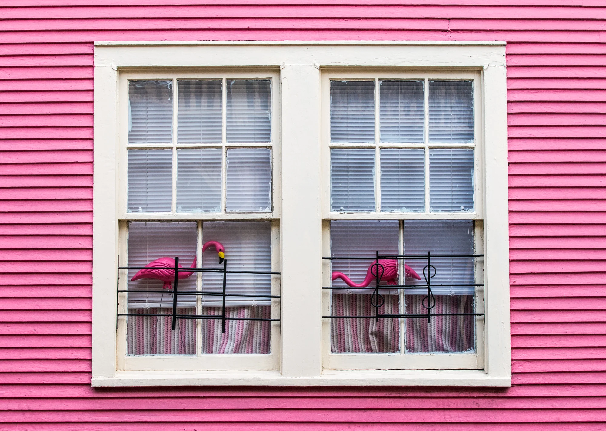 Big easy flamingos.jpg