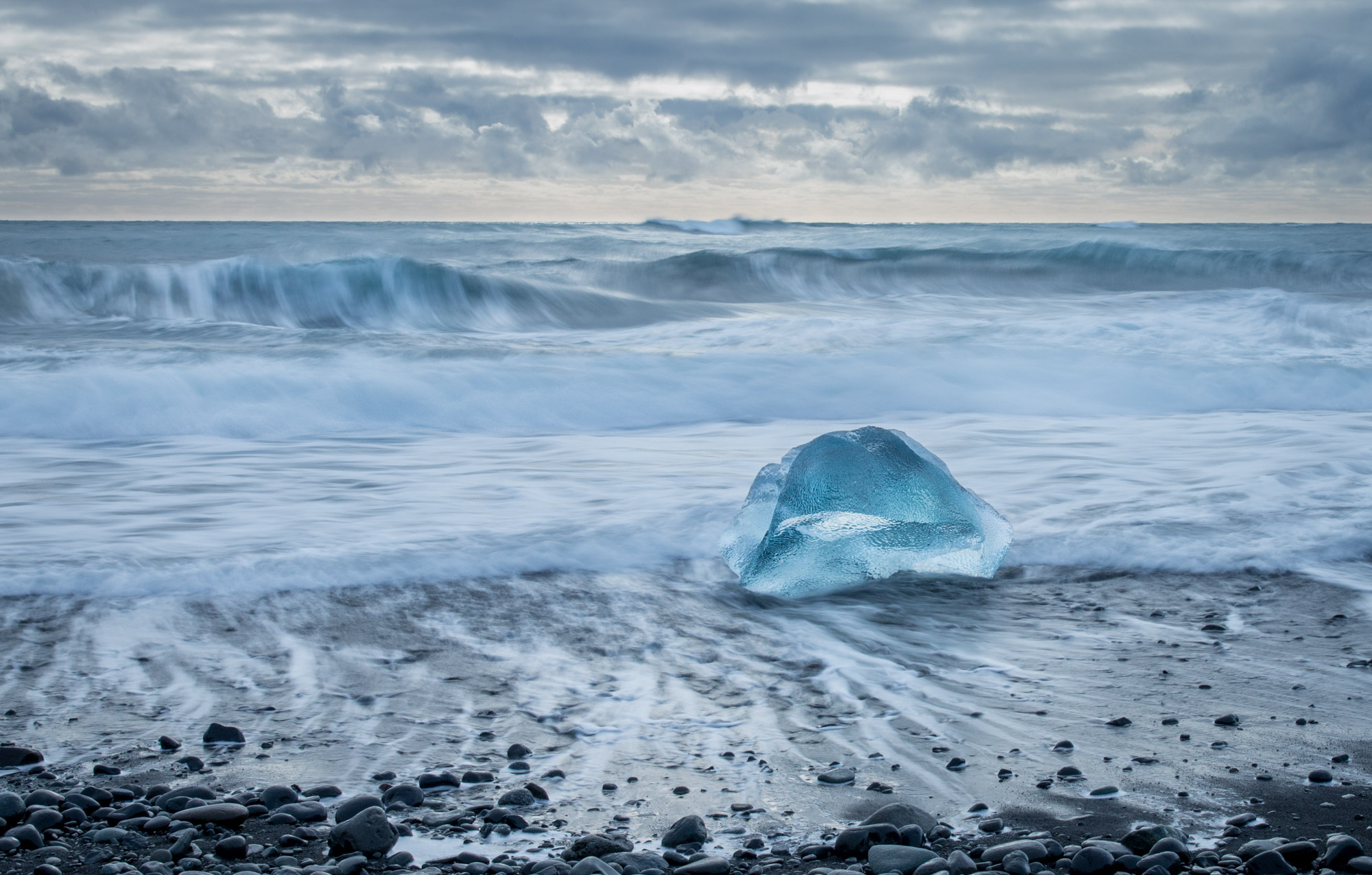 Solitary topaz at Jökulsárlón