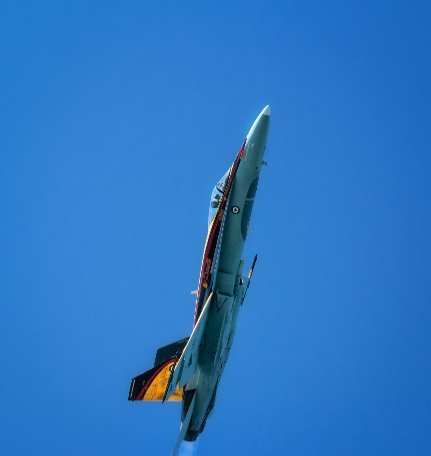 Canadian Hornet goes vertical.jpg