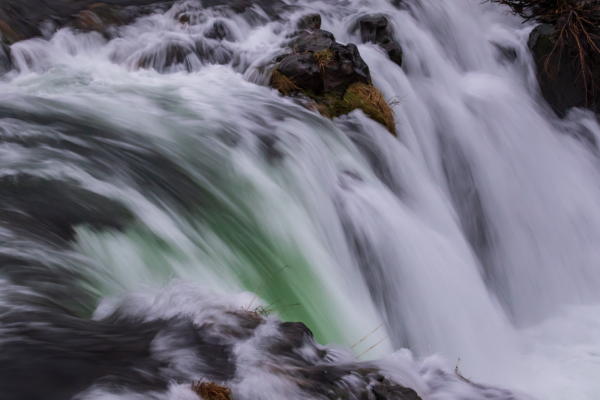 Green and white at Steelhead Falls