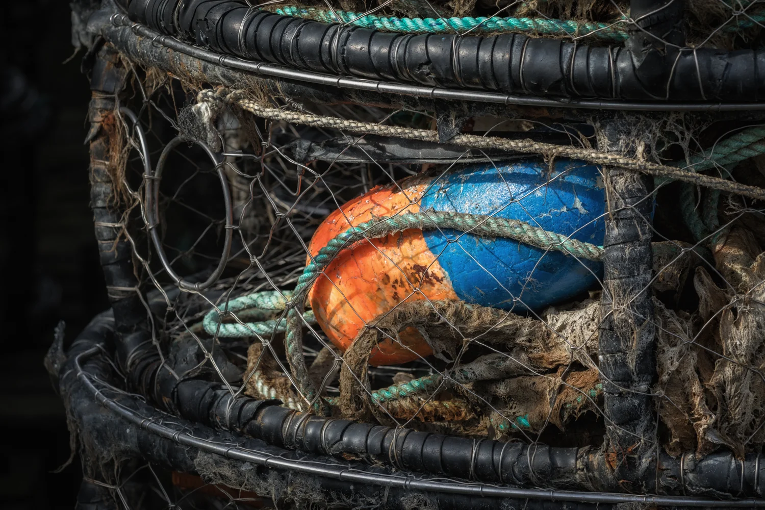 Blue and Orange Buoy The Orange. The Blue. The texture of the rope in the crab pot. Do inanimate objects wait? Does it long to go back to work? Does it miss the kiss of the cold Oregon Pacific?