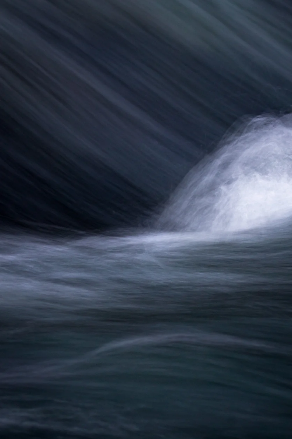 Frame rate or what the tree saw