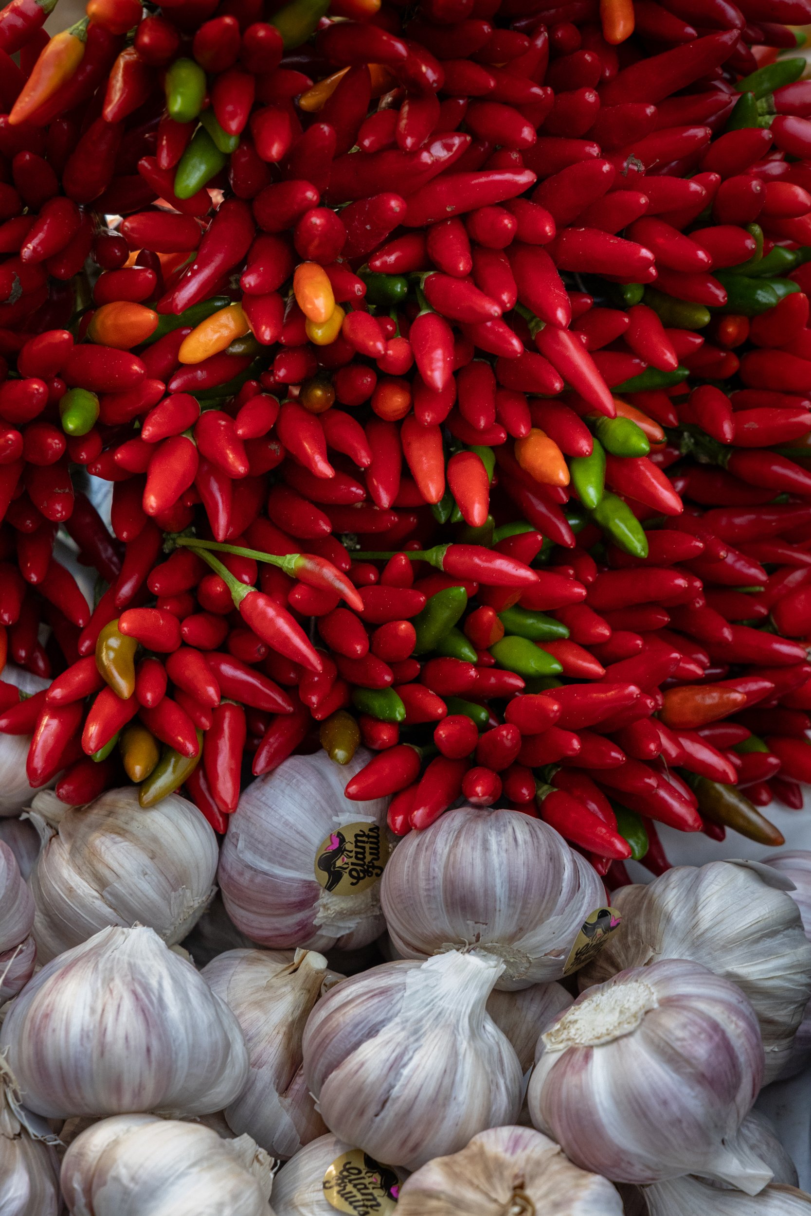 Common market-2-3.jpg
