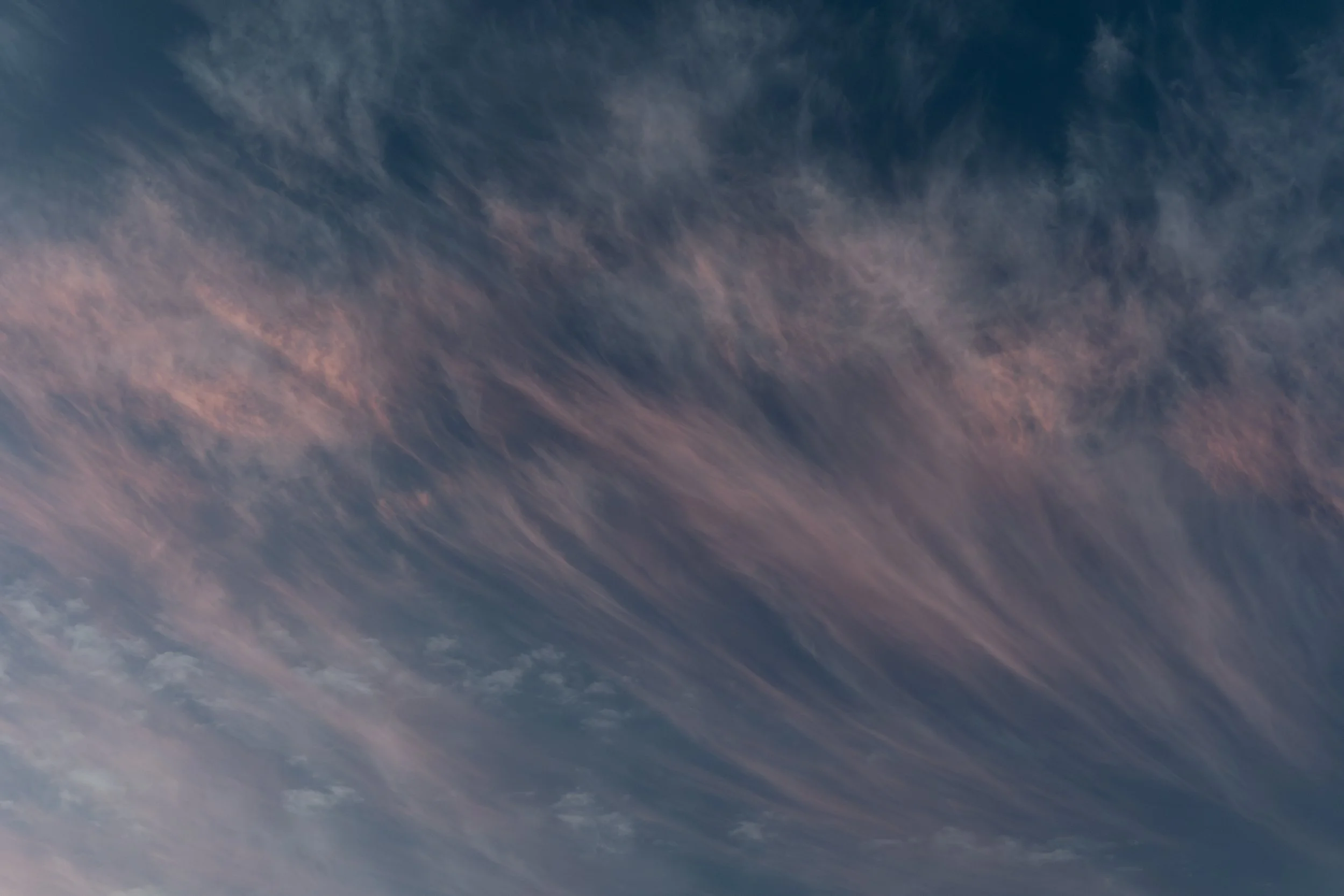 Pink Feathers Above the Sage