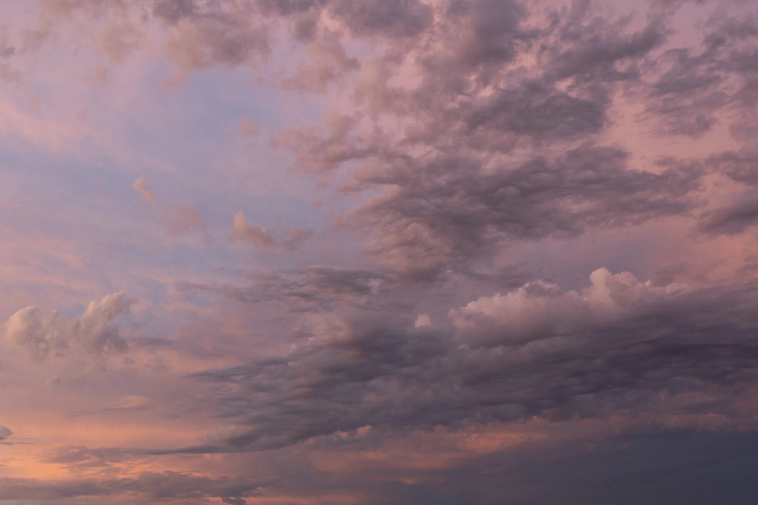 Dissipation