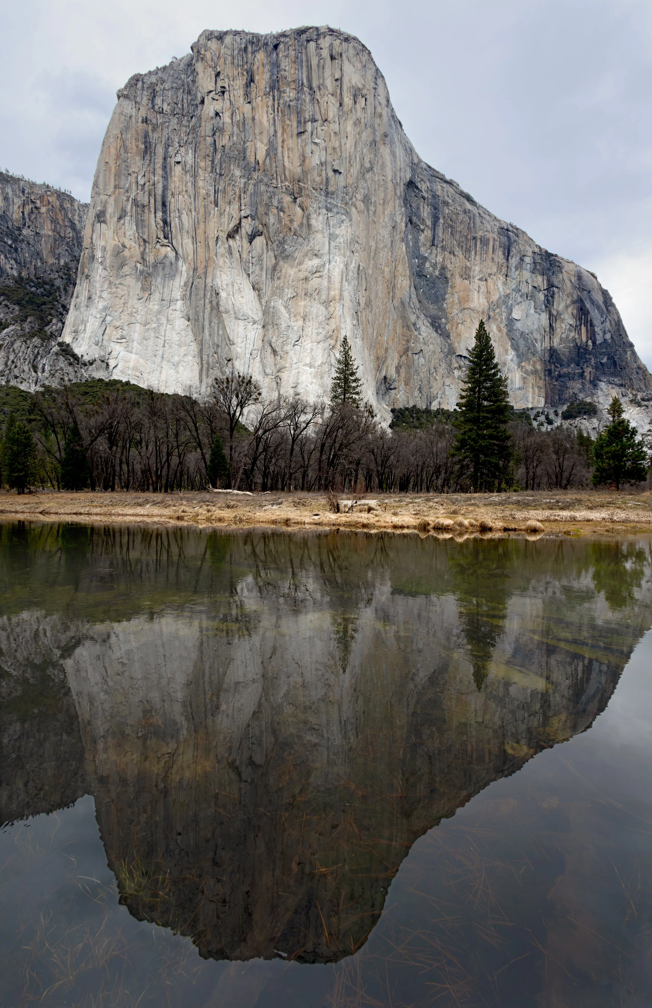 El Capitan and the Merced River