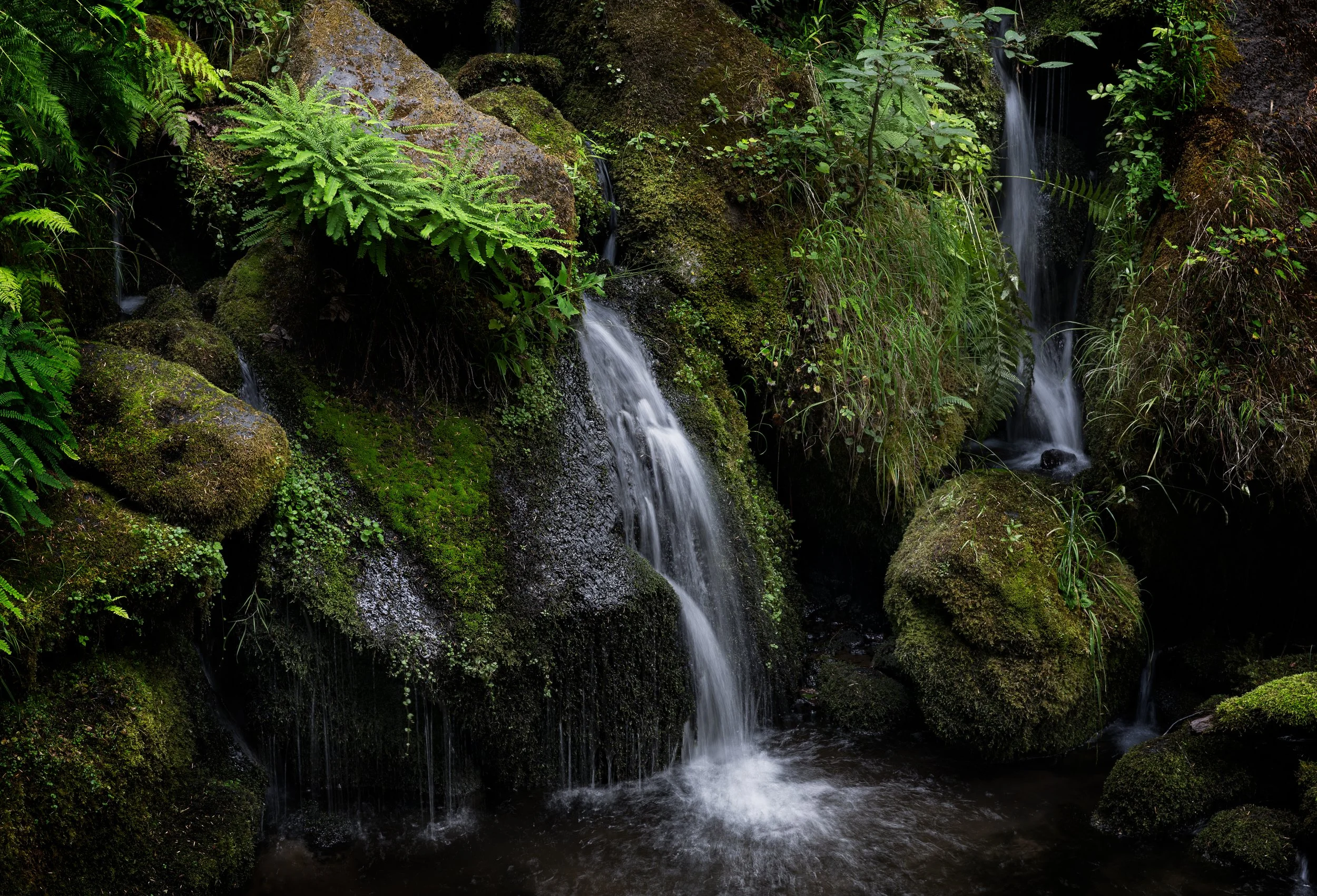 Hidden Glen