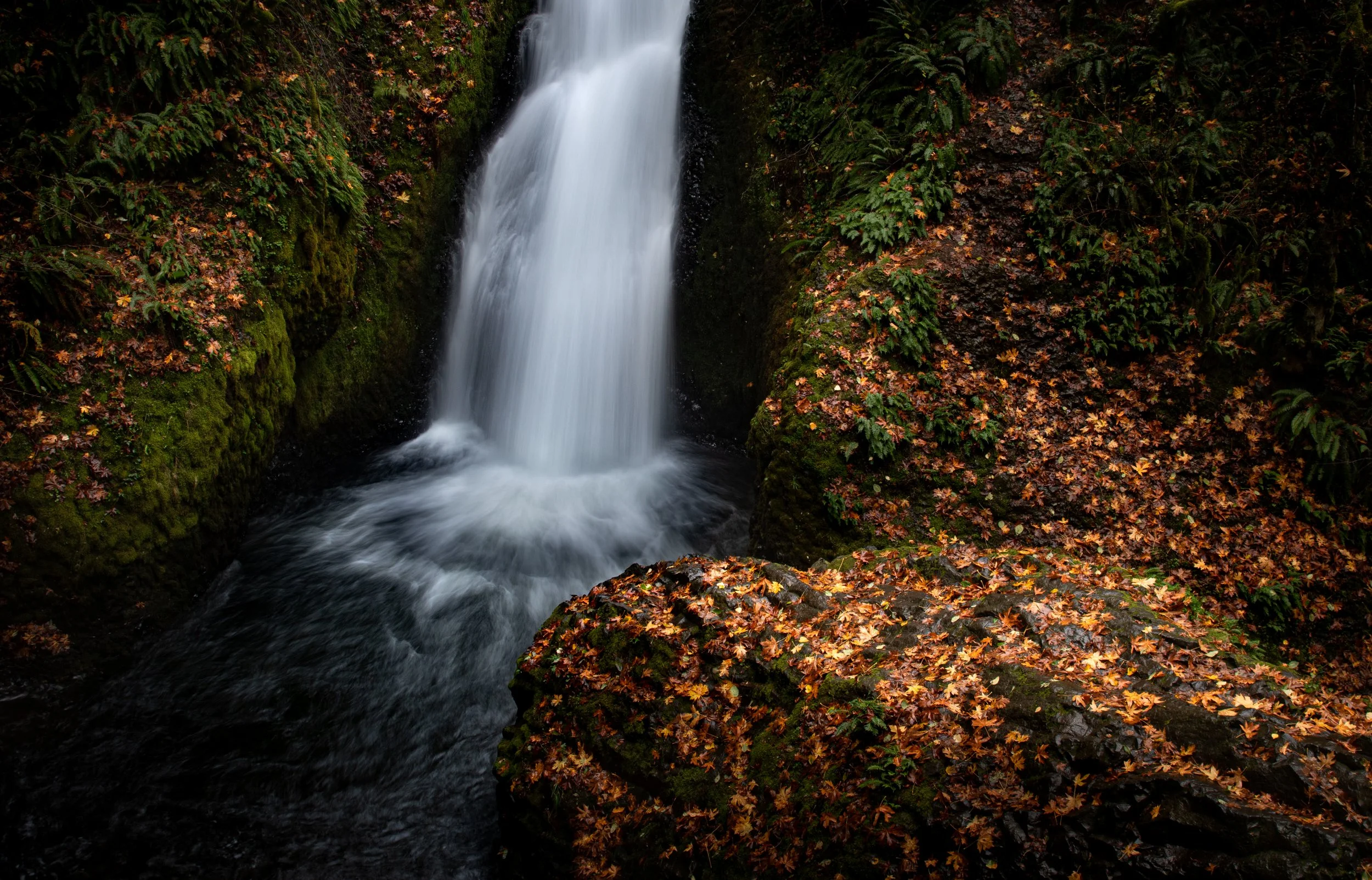 Falling Between Leaves