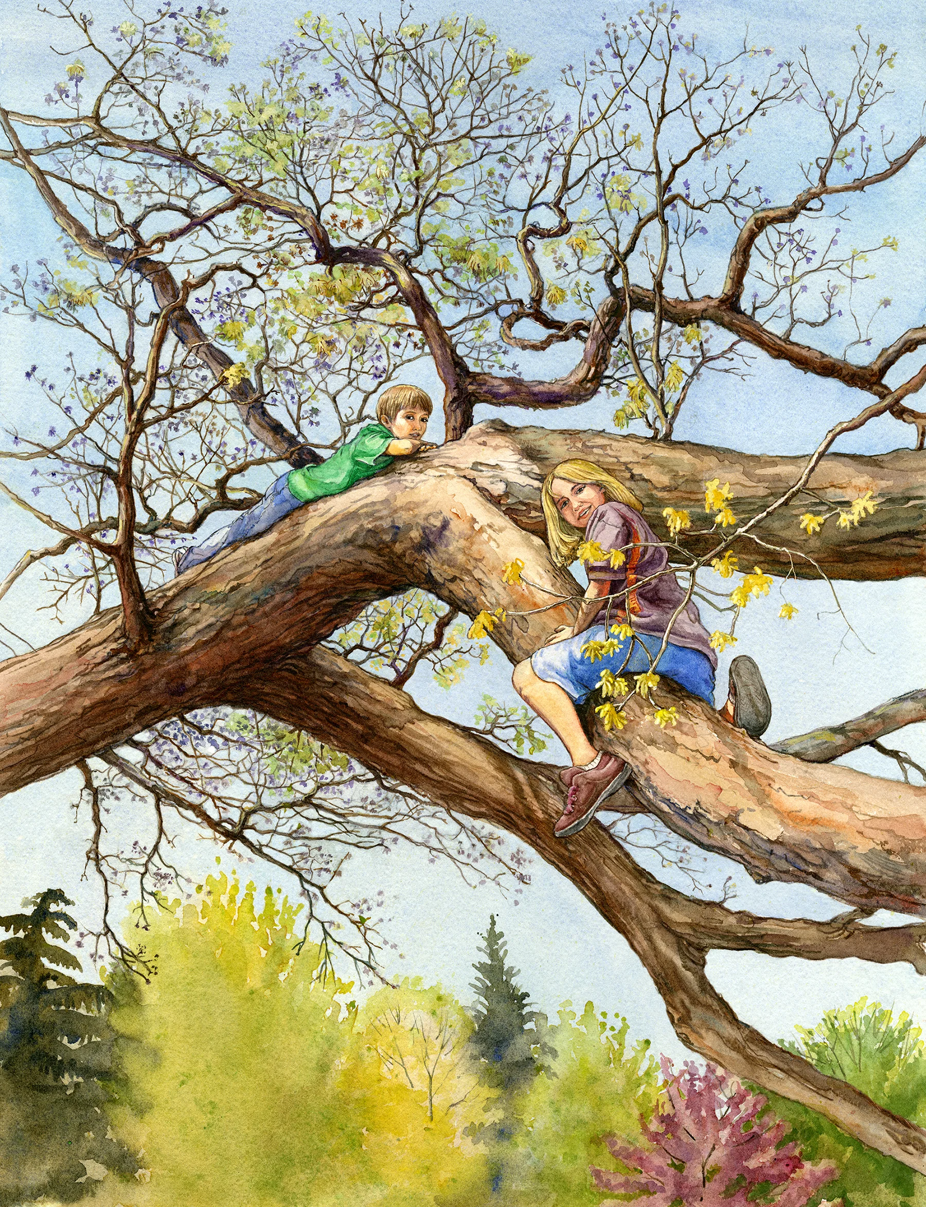 Climbing the White Oak