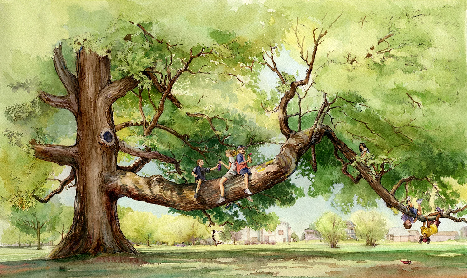 On the White Oak
