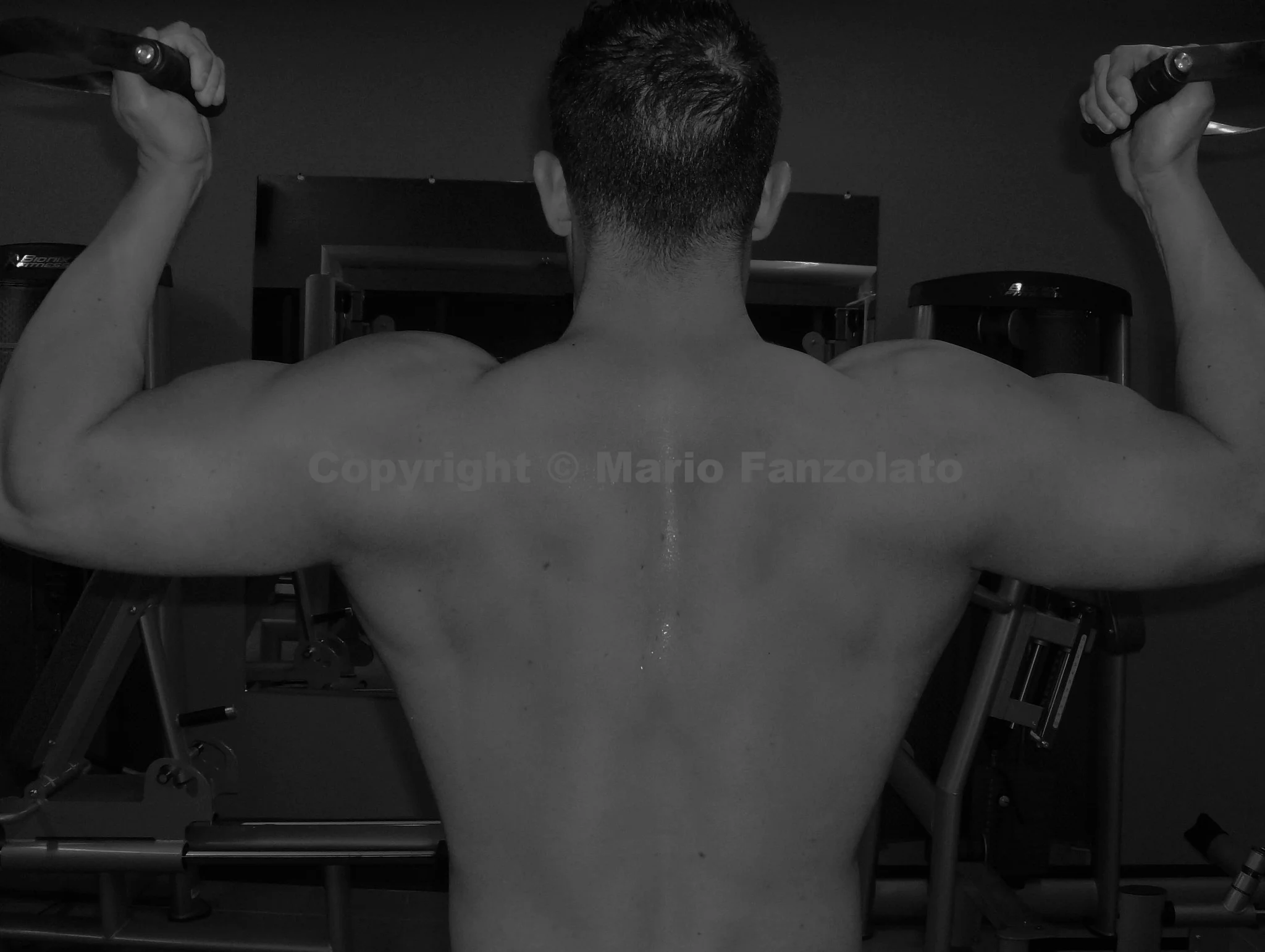 veb_natural-muscle-guide.jpg