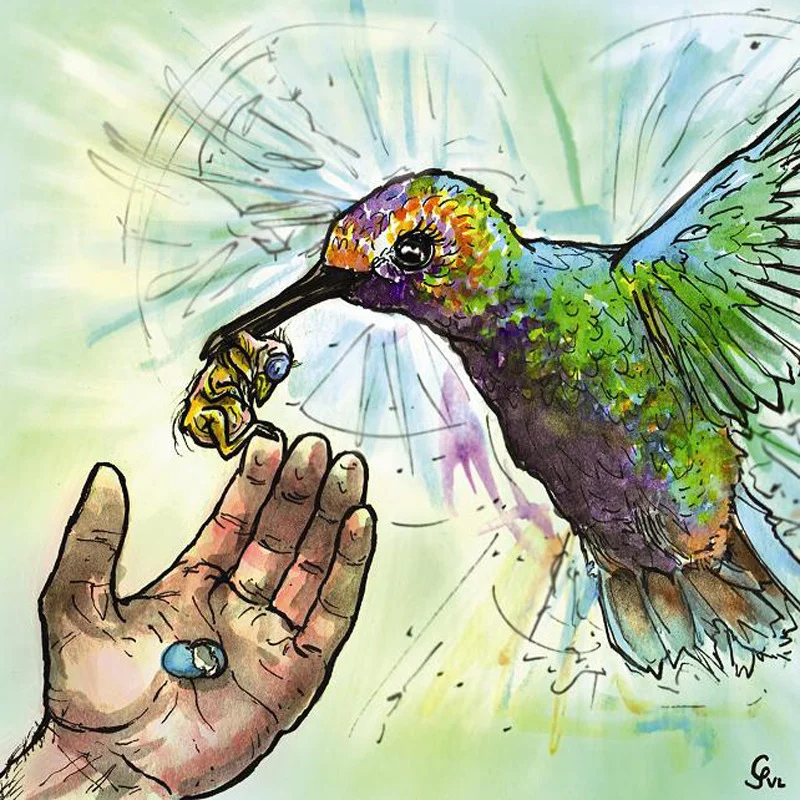 TERA MELOS: Drugs/Complex (album cover)