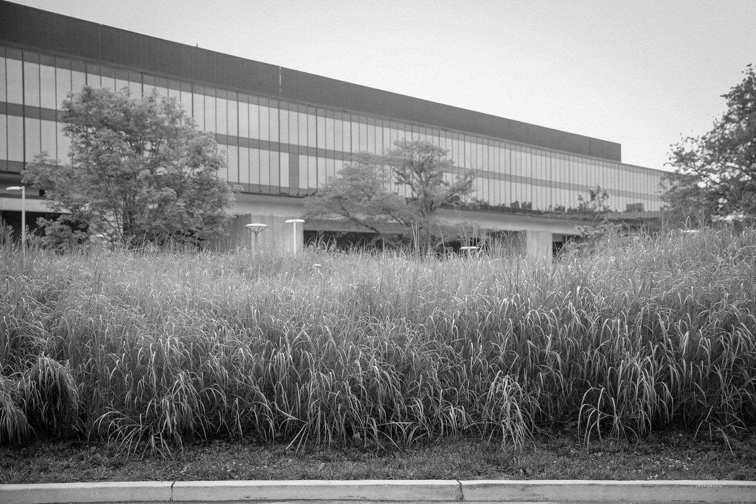 160718-Regeneron-049.jpg