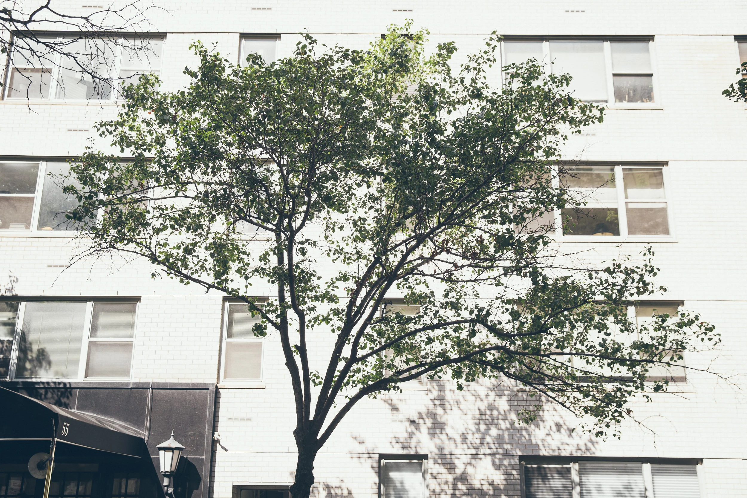 190826_1228Madison_281.jpg