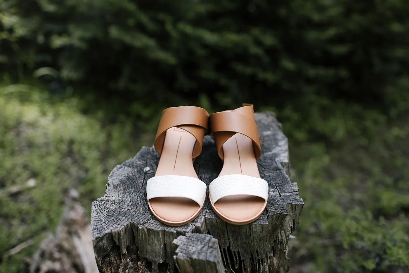Lauren-Jeff-Wedding-103.jpg