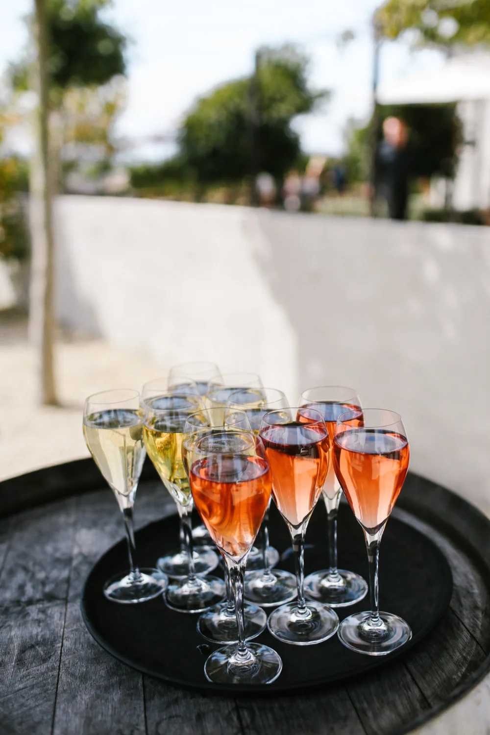 Poppies-Martinborough-Wedding-57.jpg
