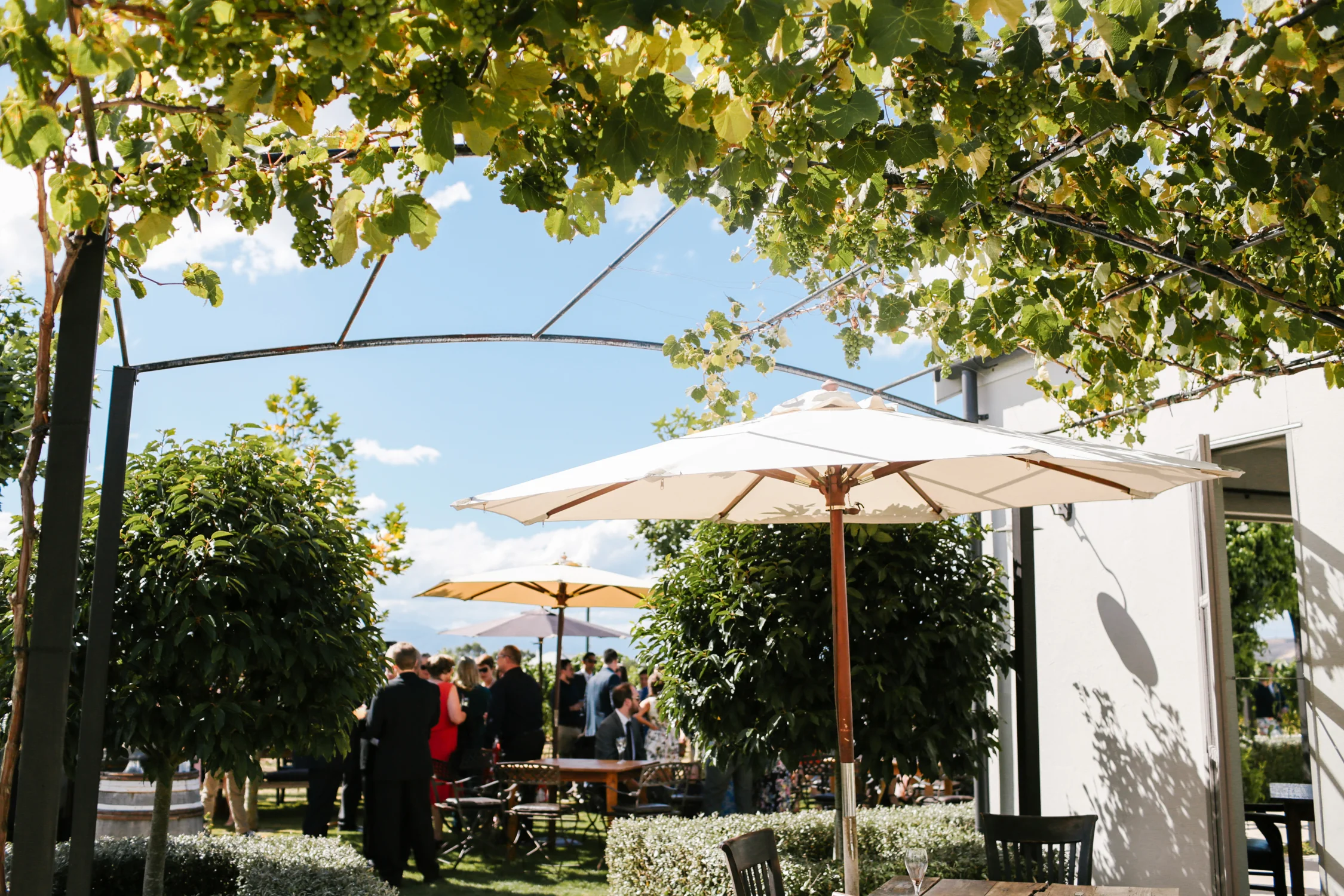 Poppies-Martinborough-Wedding-56.jpg