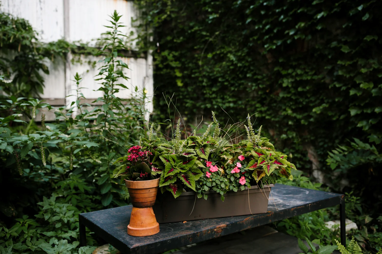 Secret-Garden-Pilsen-Wedding-Chicago-265.jpg