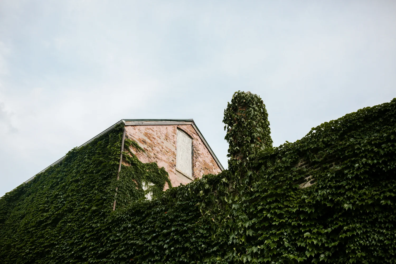 Secret-Garden-Pilsen-Wedding-Chicago-269.jpg