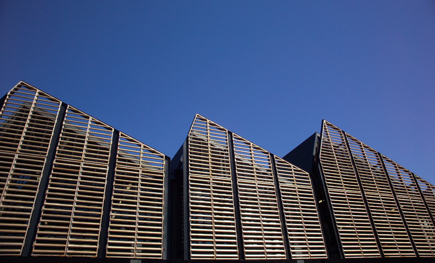 Parnell | Commercial refurbishment (Copy)