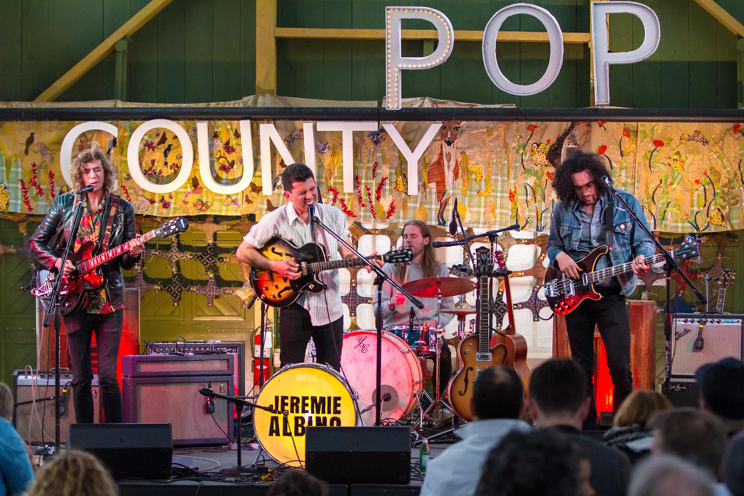 Above: Photo by Bob Ullrich of musical talents, JEREMIE ALBION and the ROSEHALL BAND with art on stage, Meadow Life at County Pop 2018 28 May 2018