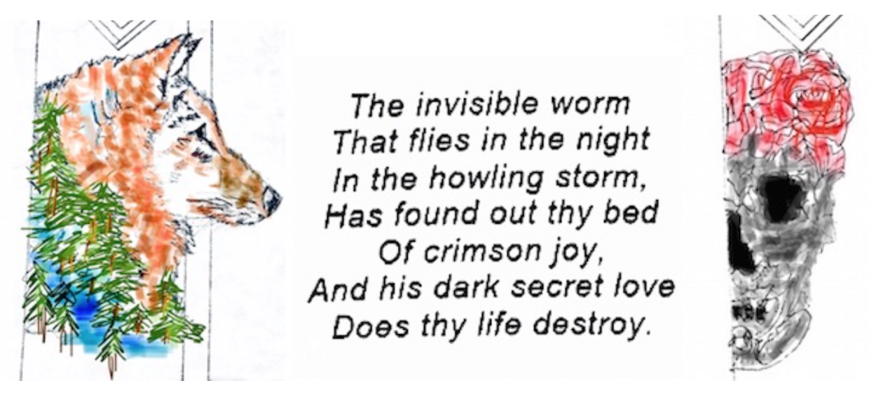 Suen_Website 6A.png