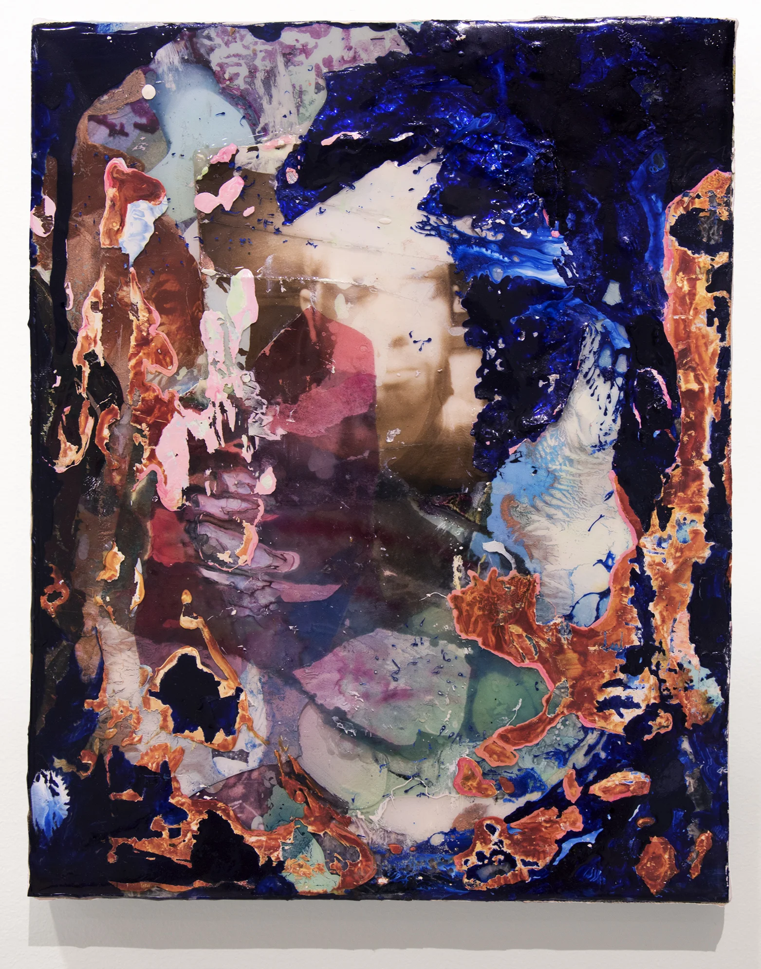 Hydra. Ink, acrylic, gelatin silver print, inkjet transparencies, epoxy resin on canvas. 8x10". 2017