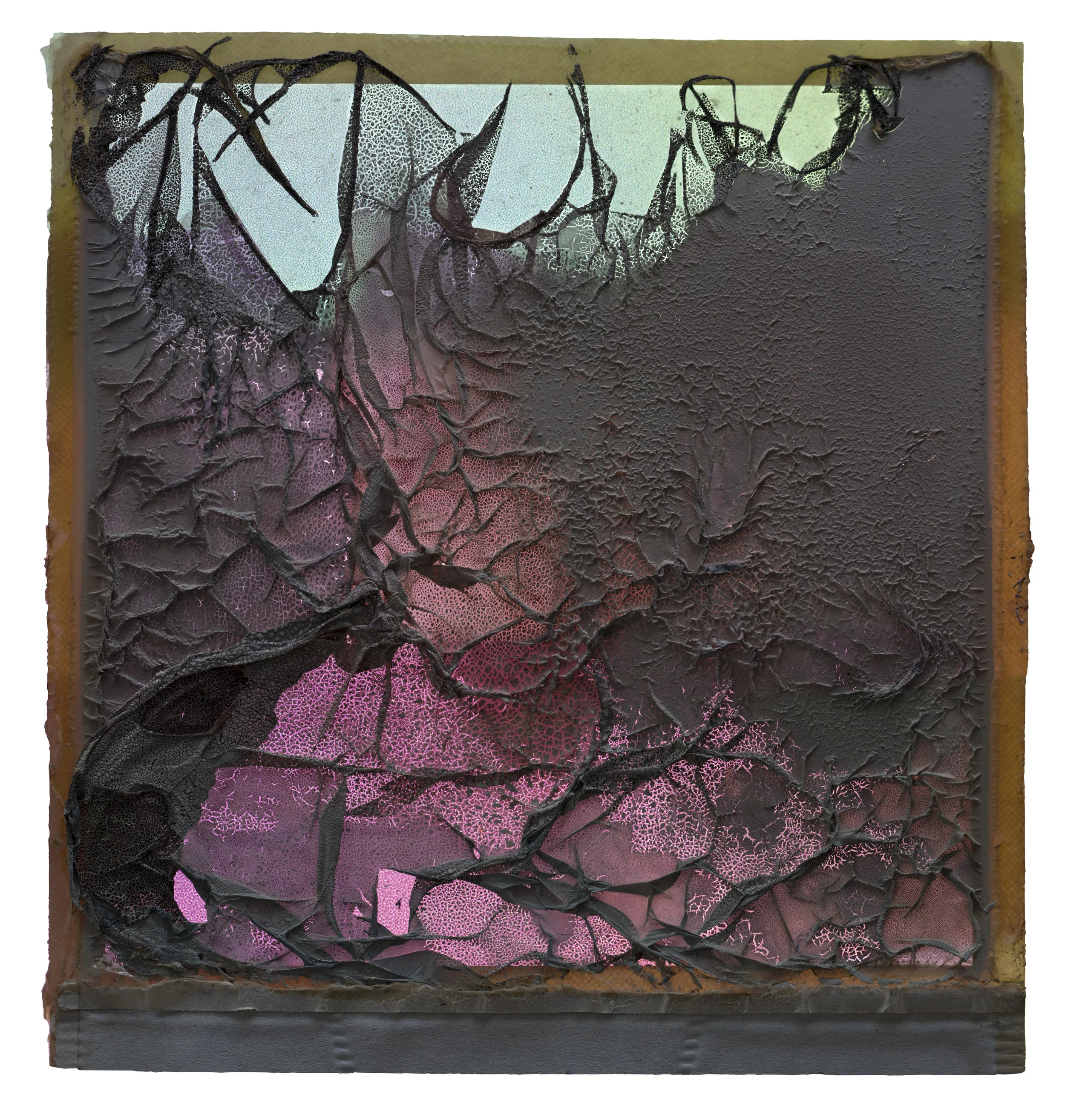 Mantle. 20x24" Archival pigment print. 2017