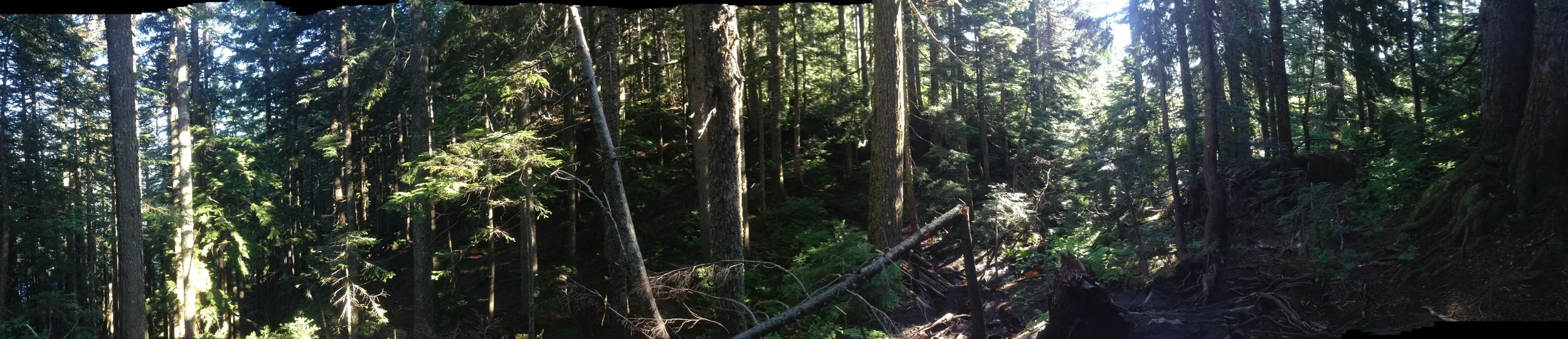 A Pano on the BCMC Trail
