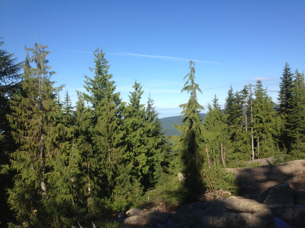 A view from almost at the top of the BCMC Trail