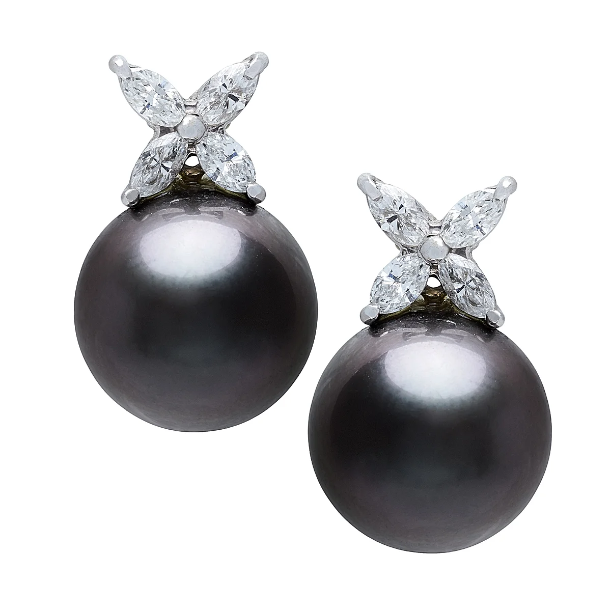 Tahitian Pearl & Diamond Earrings.jpg