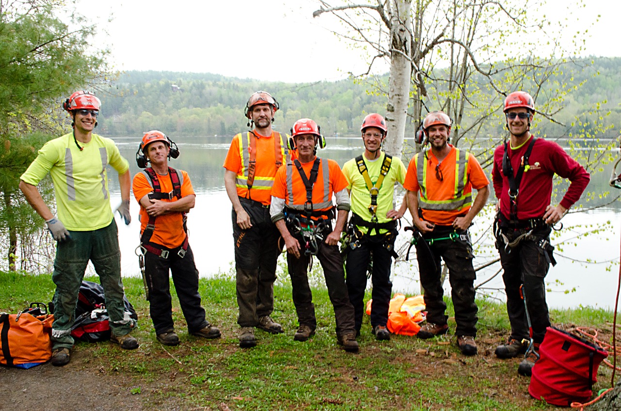 Arborists in Geggie Park.jpeg